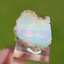 Raw opal - 19.7 carats - South Wollo Zone, Amhara Region, Ethiopia - image 8