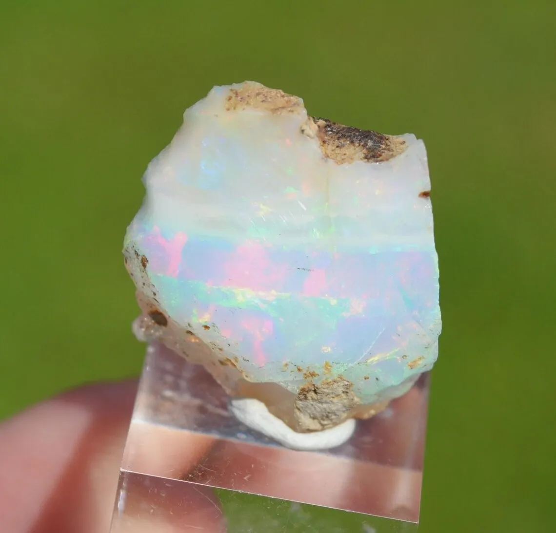 Raw opal - 19.7 carats - South Wollo Zone, Amhara Region, Ethiopia - image 8