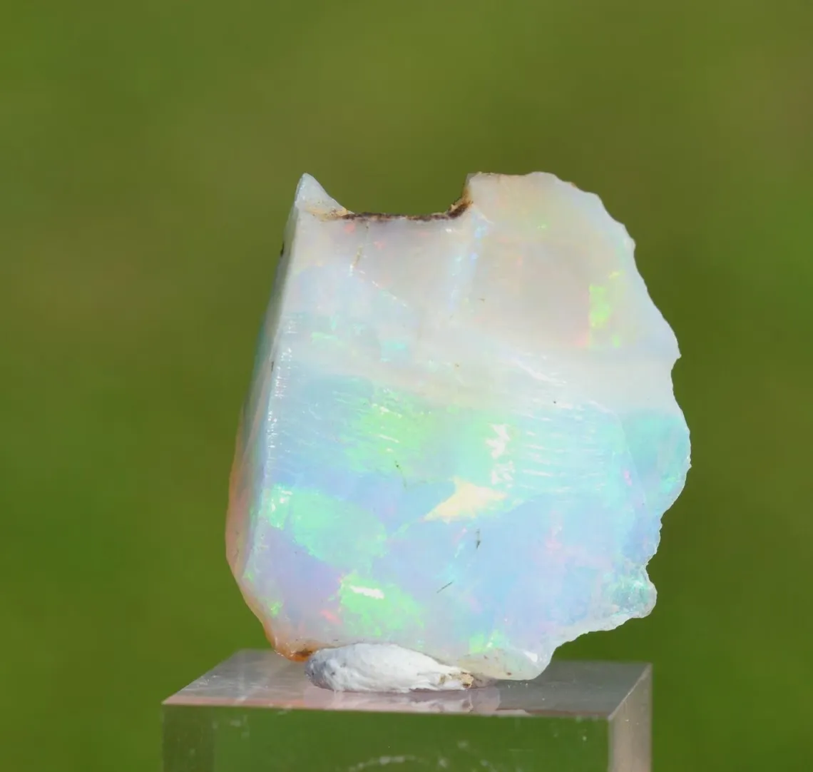 Raw opal - 19.7 carats - South Wollo Zone, Amhara Region, Ethiopia - image 5