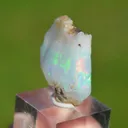 Raw opal - 19.7 carats - South Wollo Zone, Amhara Region, Ethiopia - image 1