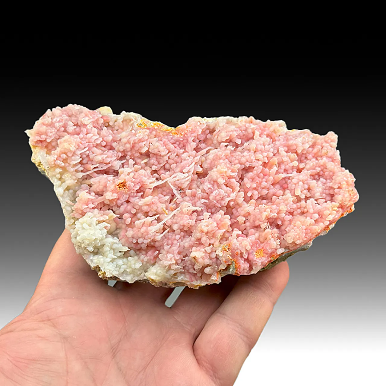 Realgar in Quartz - image 1