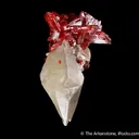 Realgar on Calcite with Picropharmacolite - image 5