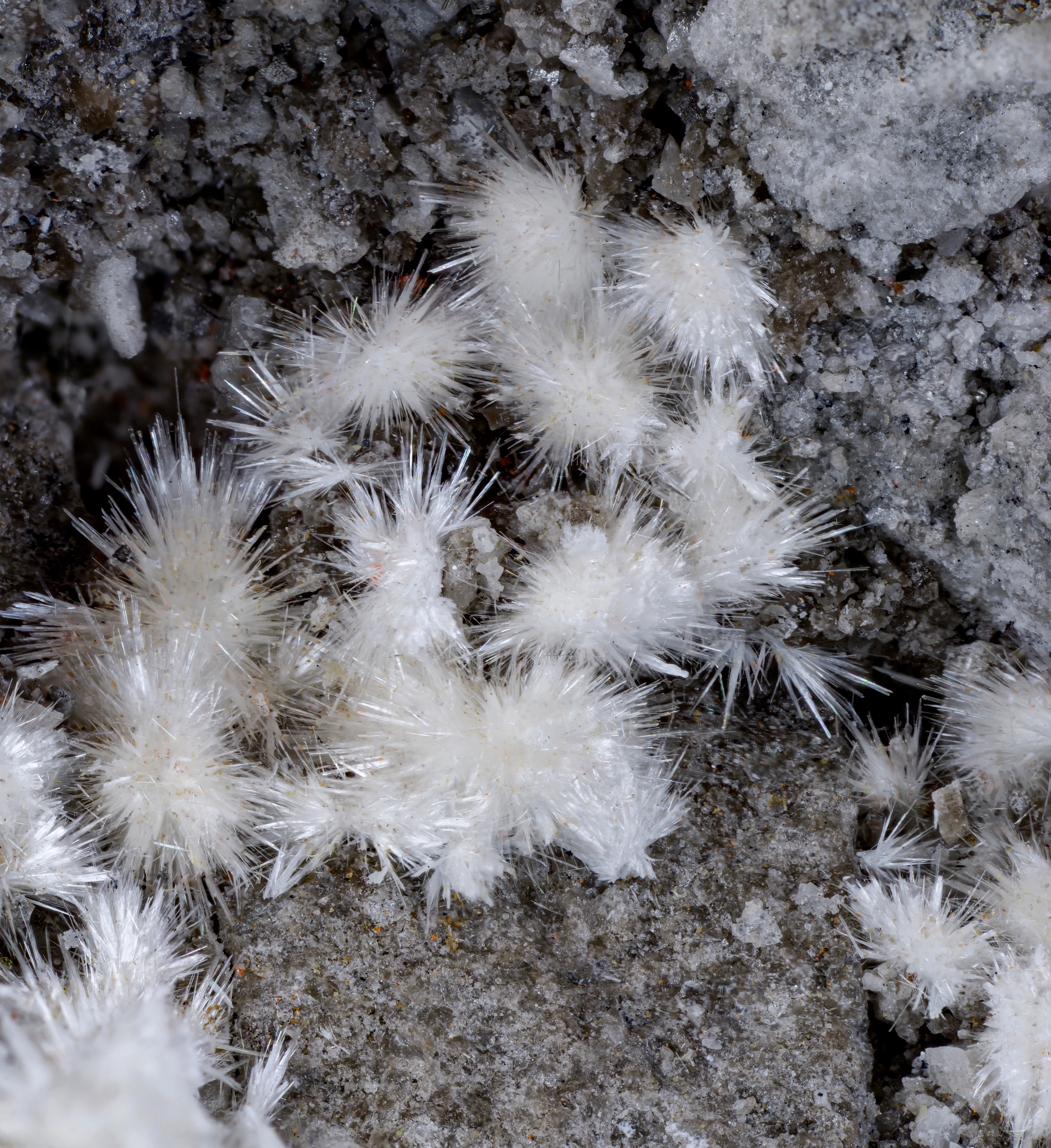 Realgar with Picropharmacolite & Calcite - image 3