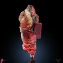 Red Apophyllite Aart  with Stilbite - image 7