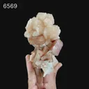 Red Apophyllite Cube With Stilbite Natural Mineral Specimen - image 6