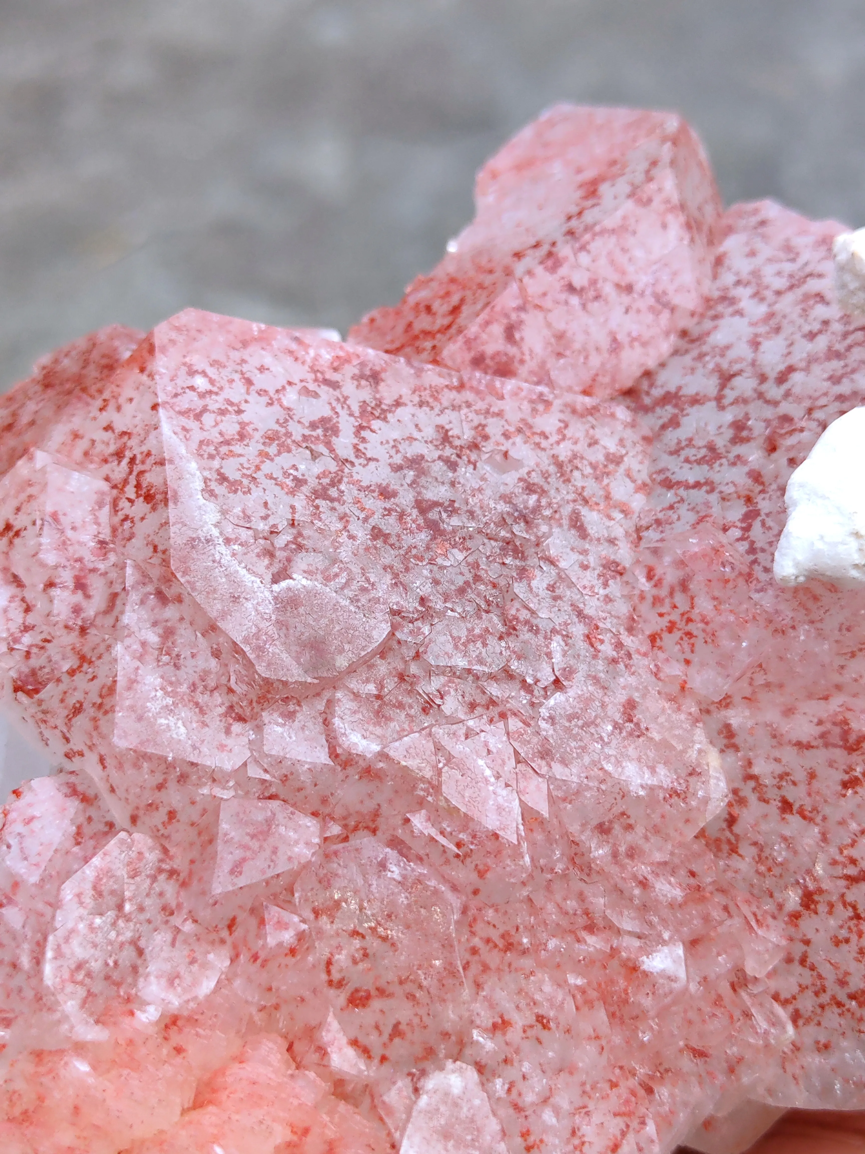 Red Apophyllite with Okenite Natural mineral Specimen - image 2