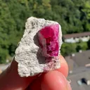 specimen video