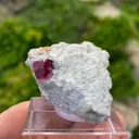Red Beryl - image 5