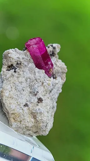 specimen video