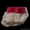 Red Beryl - image 4