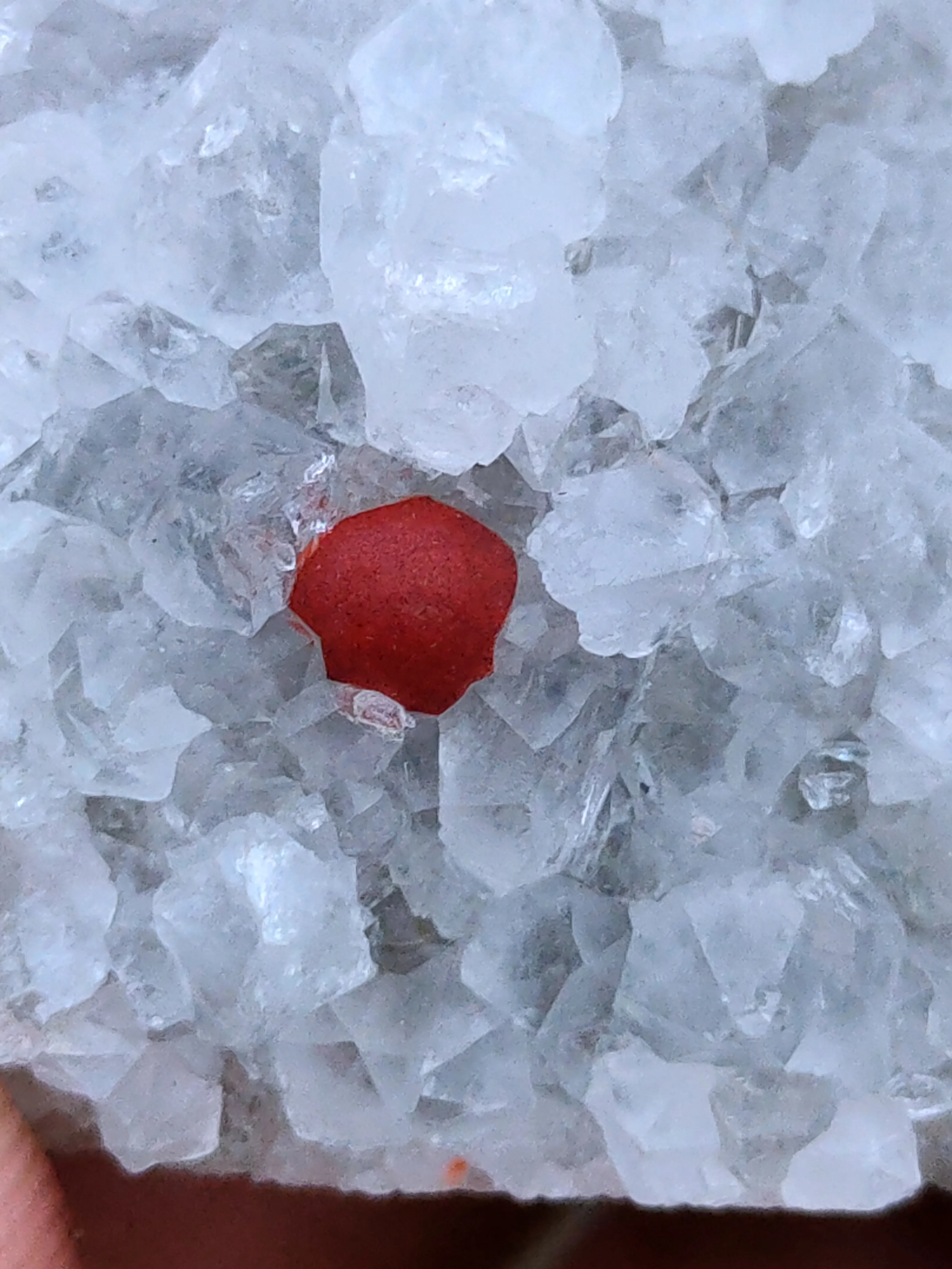 Red Fluorite on Quartz. - image 6
