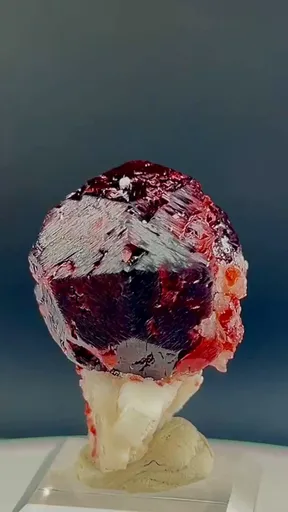 specimen video