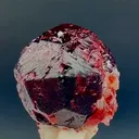 specimen video