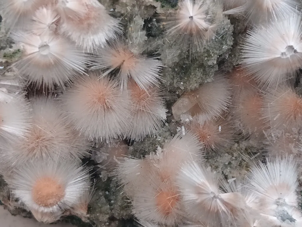 Red Mesolite on calcite - image 7