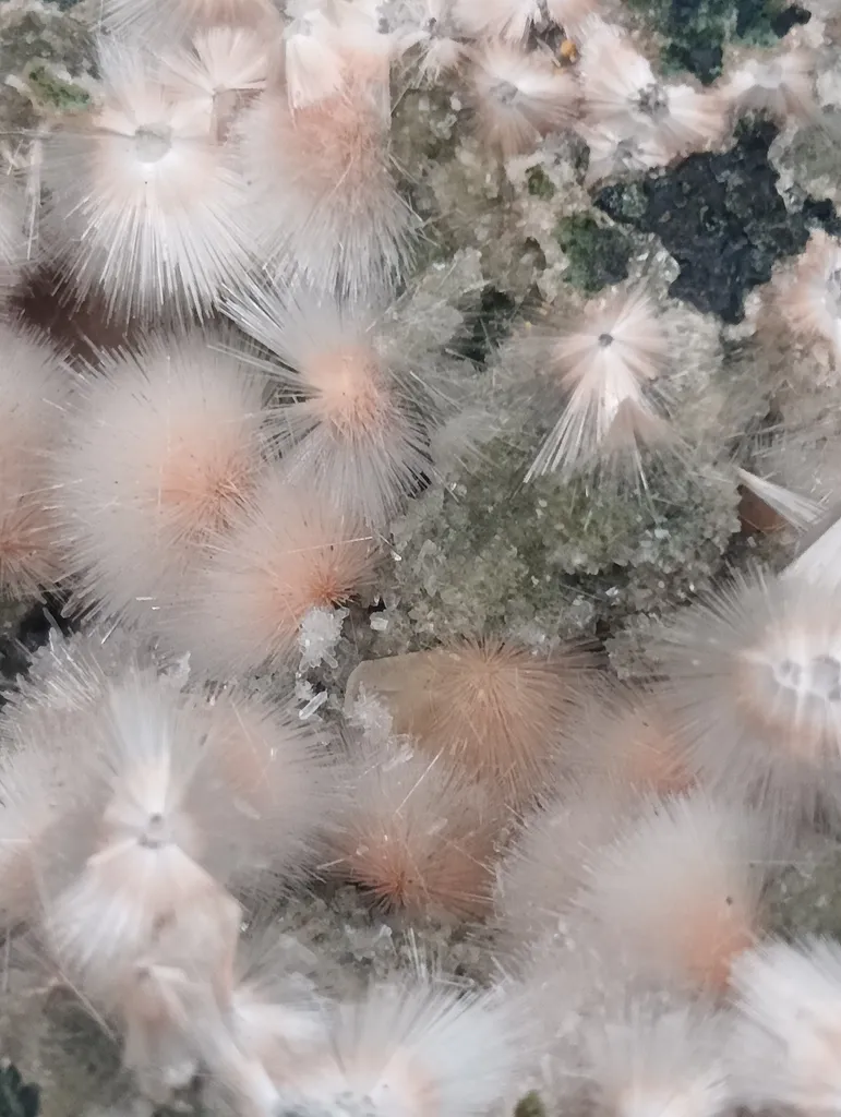Red Mesolite on calcite - image 4
