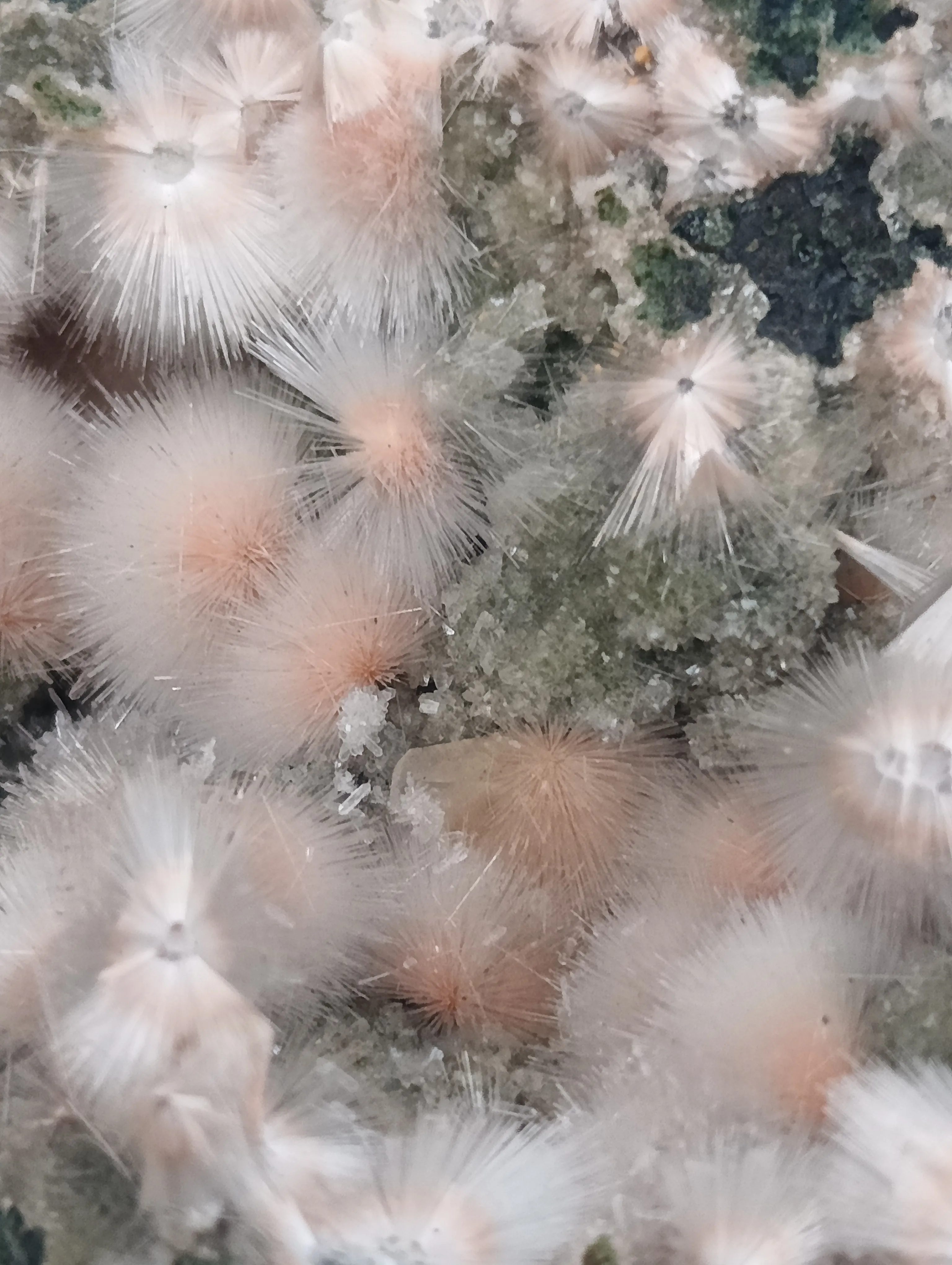 Red Mesolite on calcite - image 4