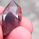 specimen video