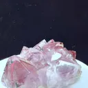 specimen video