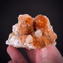 Red Prehnite with Xonotlite, Fluorapophyllite and Calcite - image 1