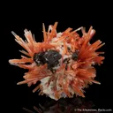 Red Quartz (included by Iron) with Sphalerite - image 1