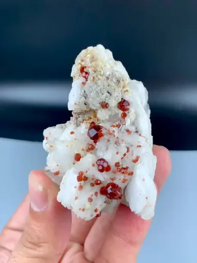 specimen video