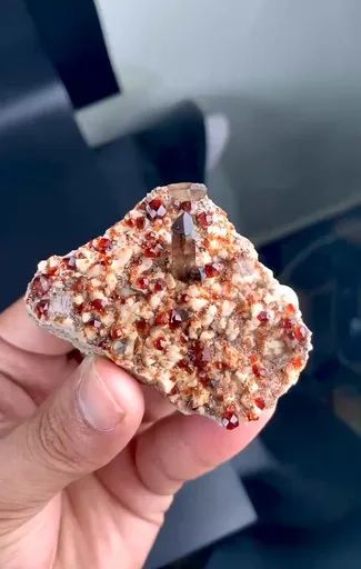 specimen video