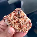 specimen video