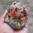Red Thomsonite balls on Heulandite Matrix From India - image 10