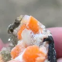 Red Thomsonite balls on Heulandite Matrix From India - image 6
