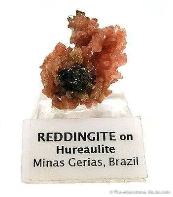 Reddingite on Hureaulite image