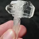 specimen video