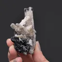 Reticulated Cerussite - image 2