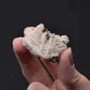 Reticulated Cerussite - image 2