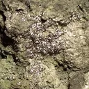 Rheniite - image 2