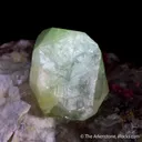 Rhodizite on Elbaite Tourmaline, Smoky Quartz, and Microcline - image 3
