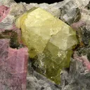 Rhodizite, Tourmaline - image 2