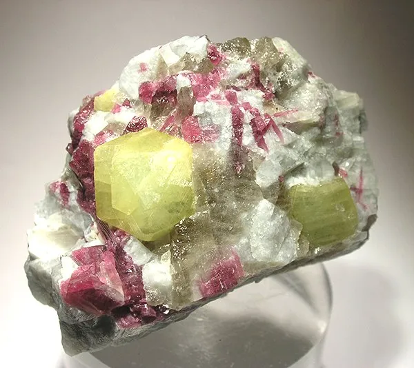 Rhodizite, Tourmaline (Var: Rubellite), Tourmaline image