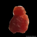 Rhodochrosite - image 1