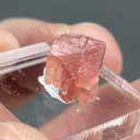 Rhodochrosite - image 2