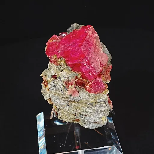 specimen video