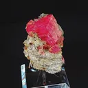 specimen video