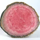 Rhodochrosite - image 1