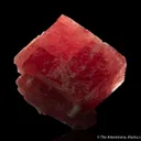 Rhodochrosite (1960s-70s era) - image 3