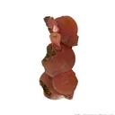 Rhodochrosite - image 4