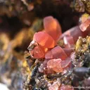Rhodochrosite - image 3