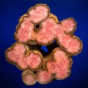 Rhodochrosite - image 1
