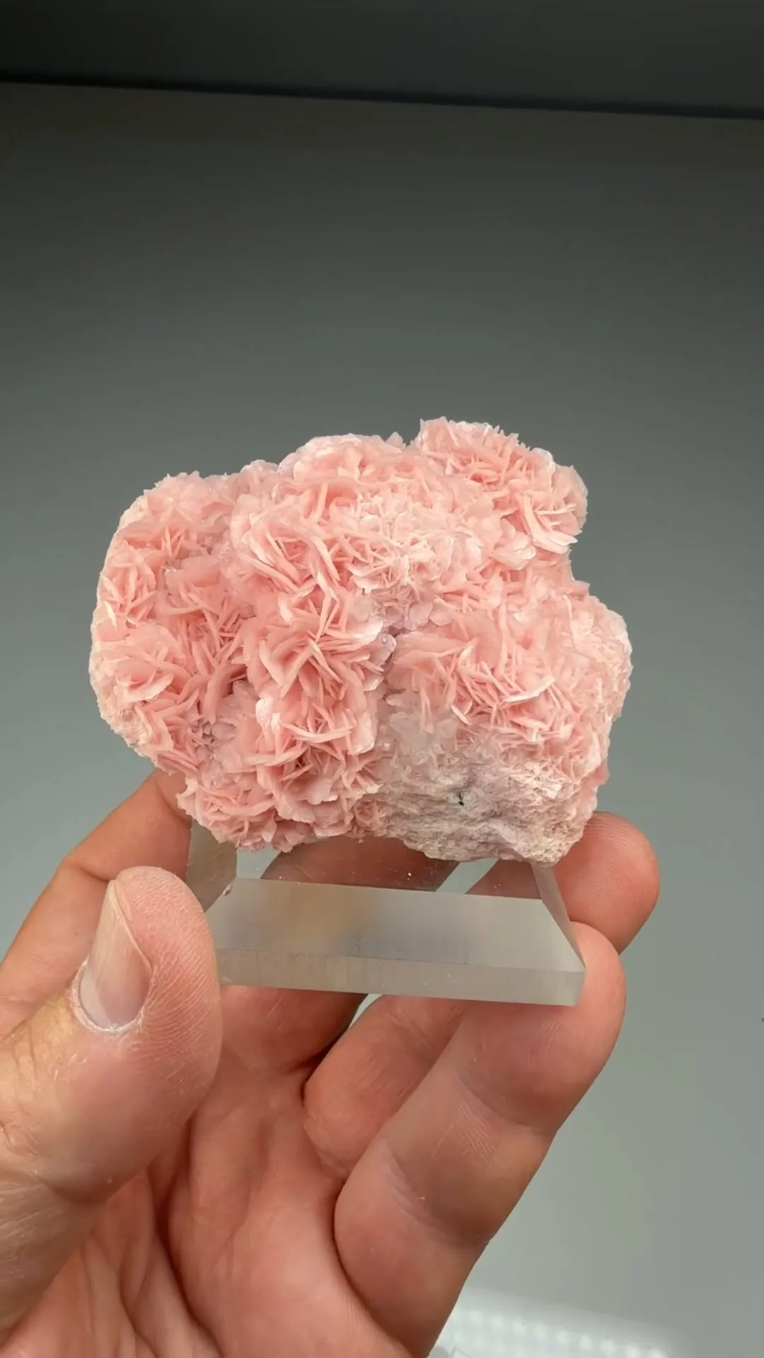 Rhodochrosite (455) - image 2