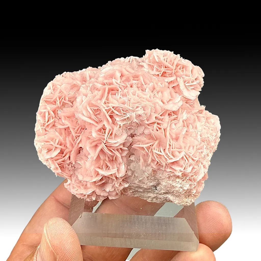 Rhodochrosite (455) image