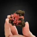 Rhodochrosite - image 2