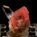 Rhodochrosite - image 3